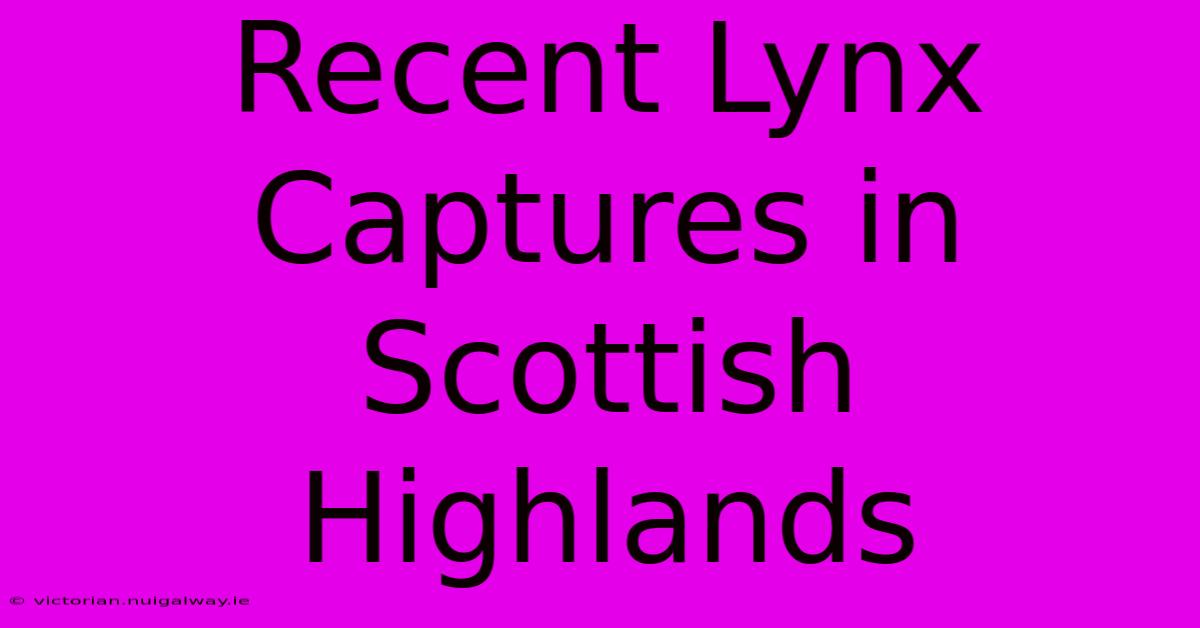 Recent Lynx Captures In Scottish Highlands