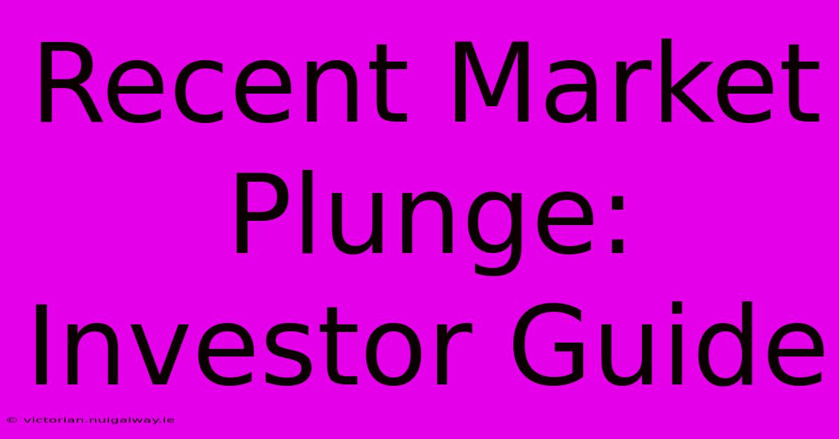 Recent Market Plunge: Investor Guide