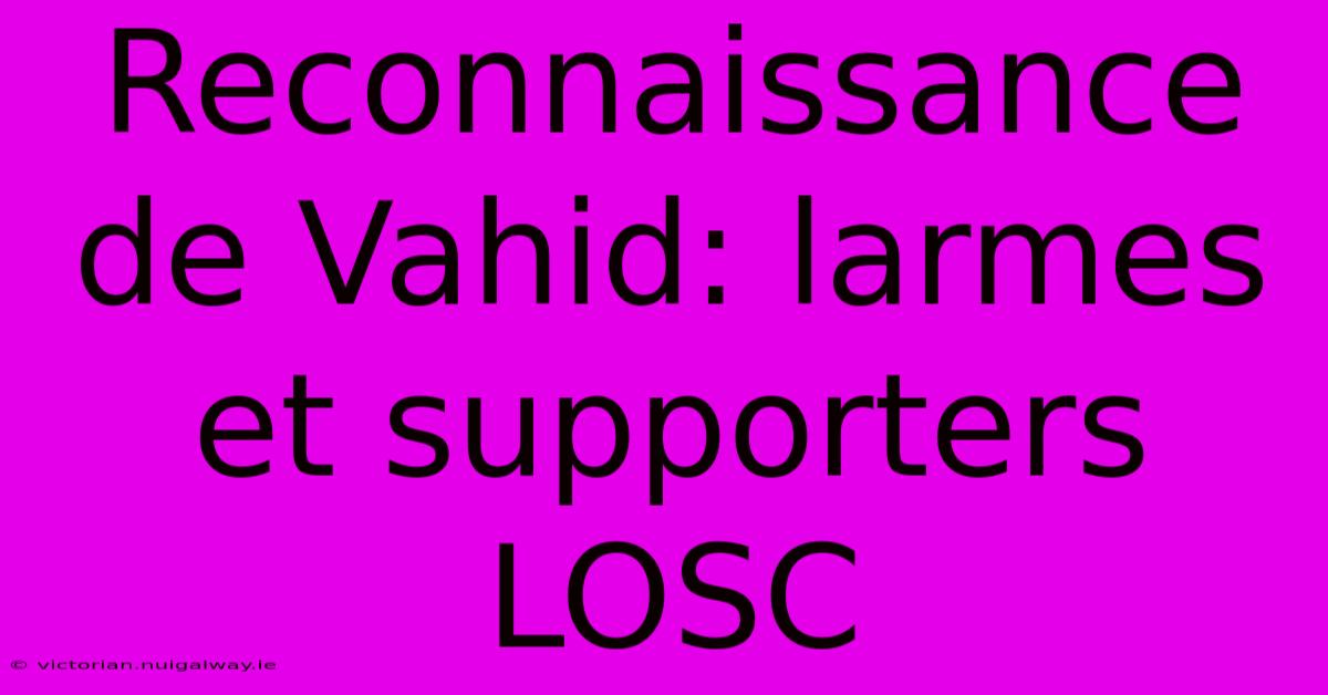 Reconnaissance De Vahid: Larmes Et Supporters LOSC