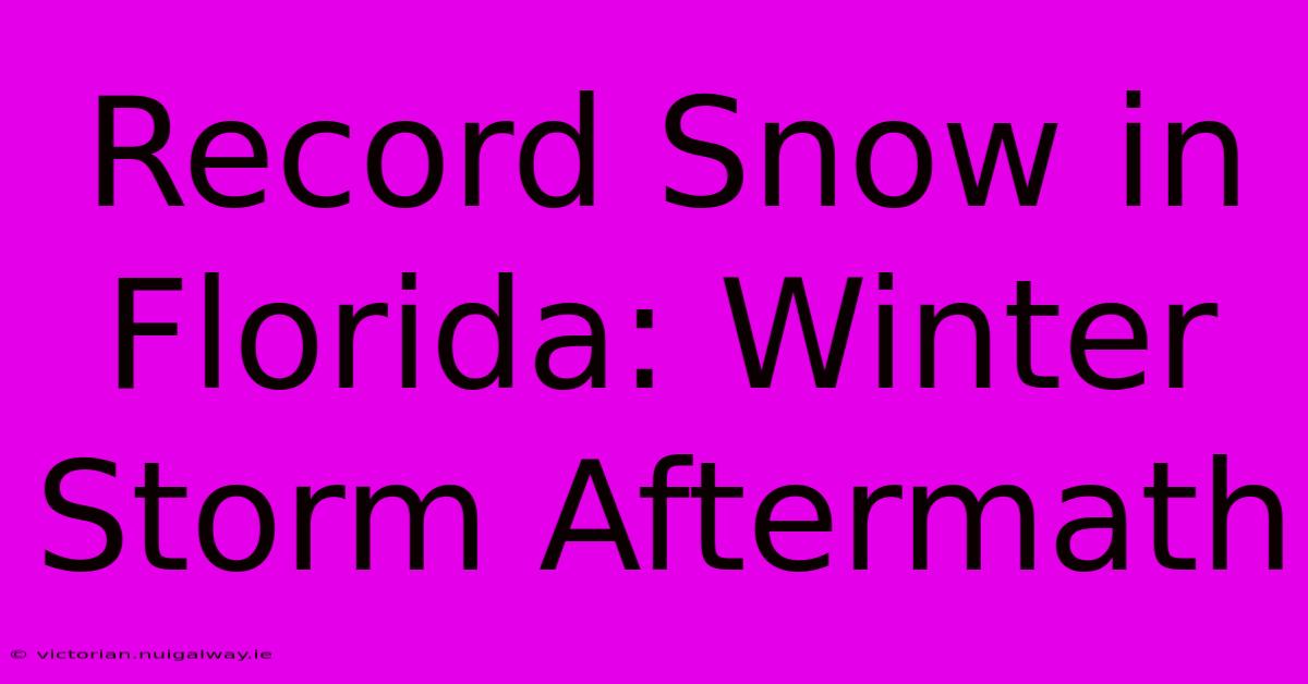 Record Snow In Florida: Winter Storm Aftermath