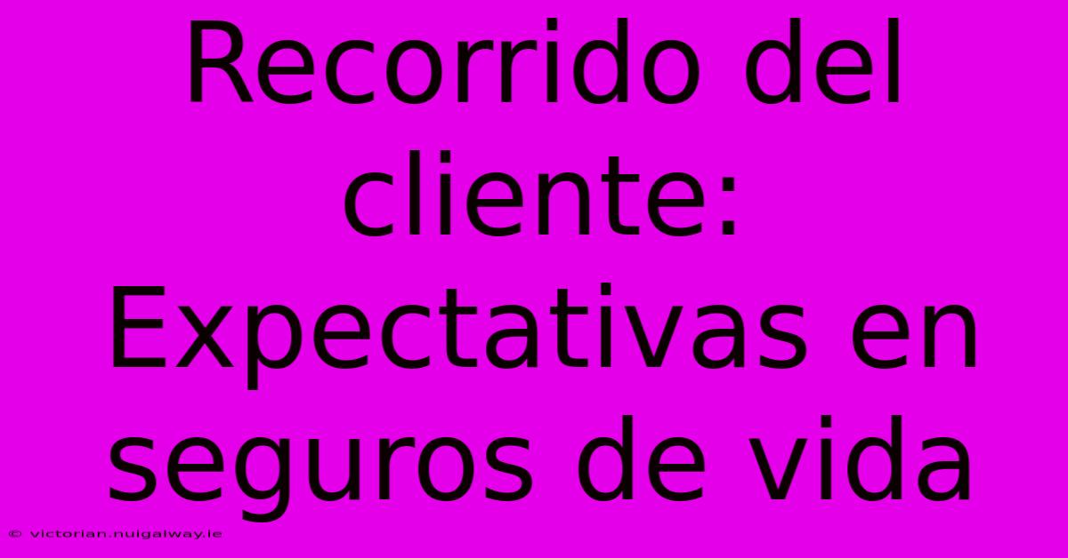 Recorrido Del Cliente: Expectativas En Seguros De Vida