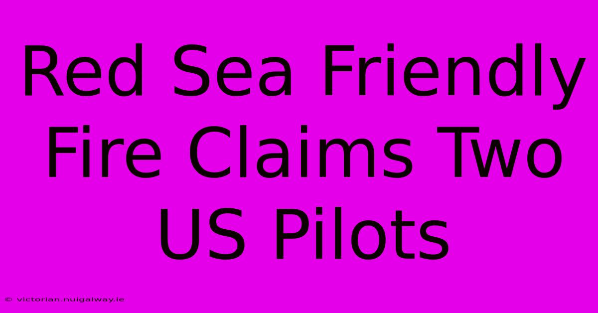 Red Sea Friendly Fire Claims Two US Pilots