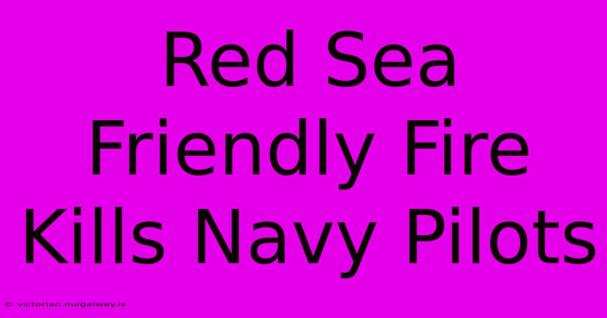 Red Sea Friendly Fire Kills Navy Pilots