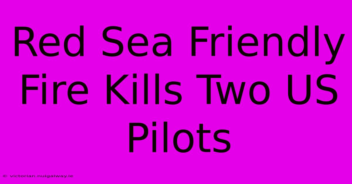 Red Sea Friendly Fire Kills Two US Pilots