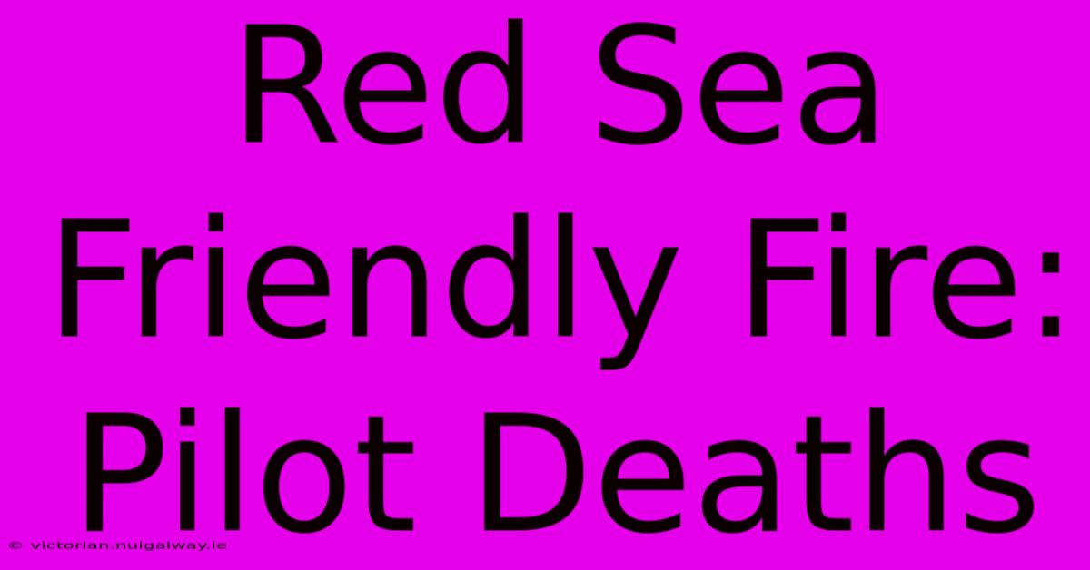 Red Sea Friendly Fire: Pilot Deaths