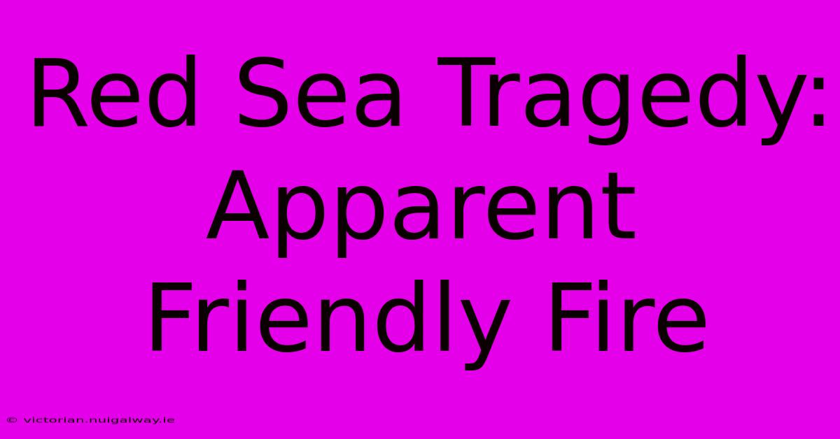 Red Sea Tragedy: Apparent Friendly Fire