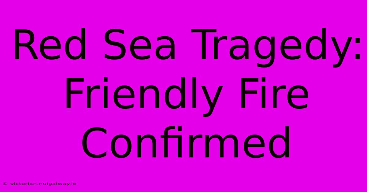 Red Sea Tragedy: Friendly Fire Confirmed