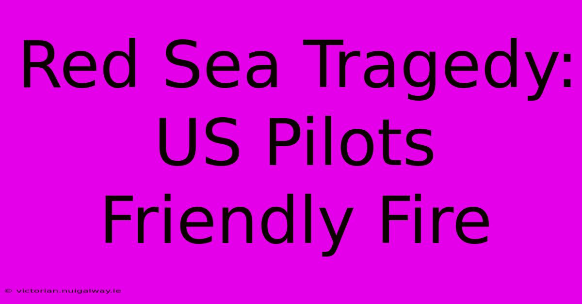 Red Sea Tragedy: US Pilots Friendly Fire