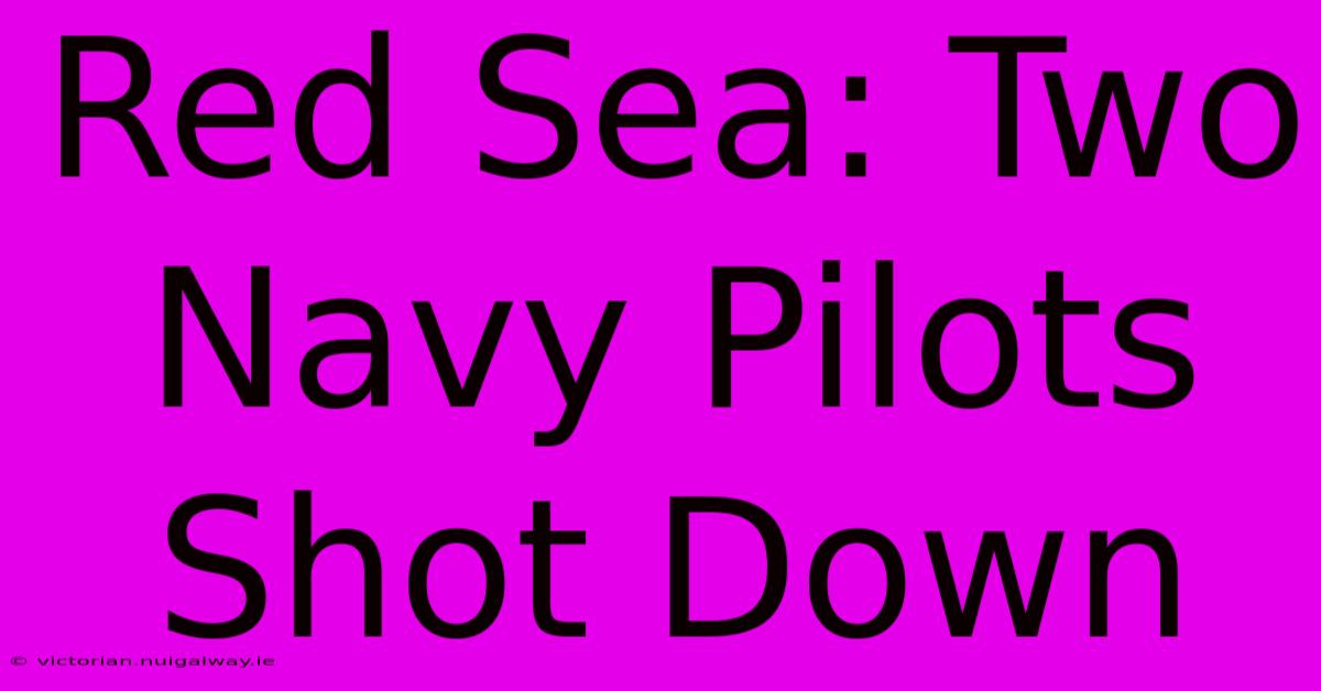 Red Sea: Two Navy Pilots Shot Down