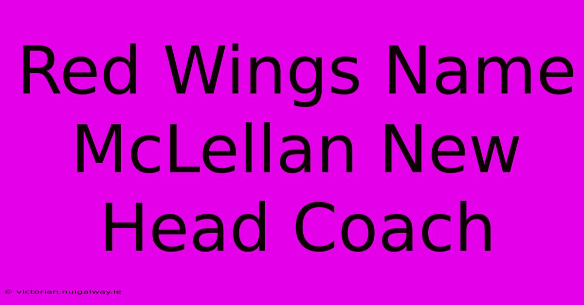 Red Wings Name McLellan New Head Coach