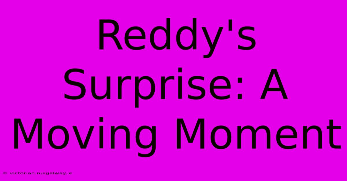 Reddy's Surprise: A Moving Moment