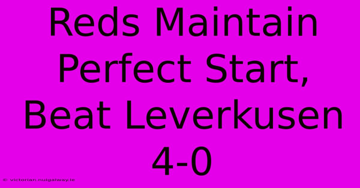 Reds Maintain Perfect Start, Beat Leverkusen 4-0