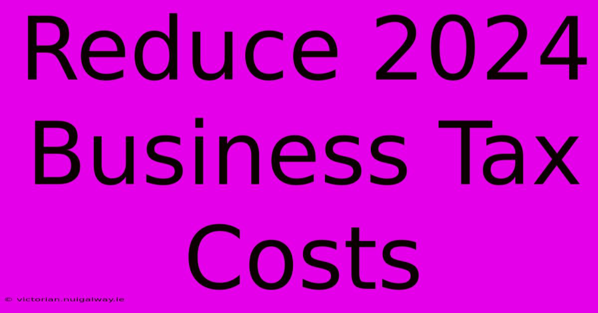 Reduce 2024 Business Tax Costs