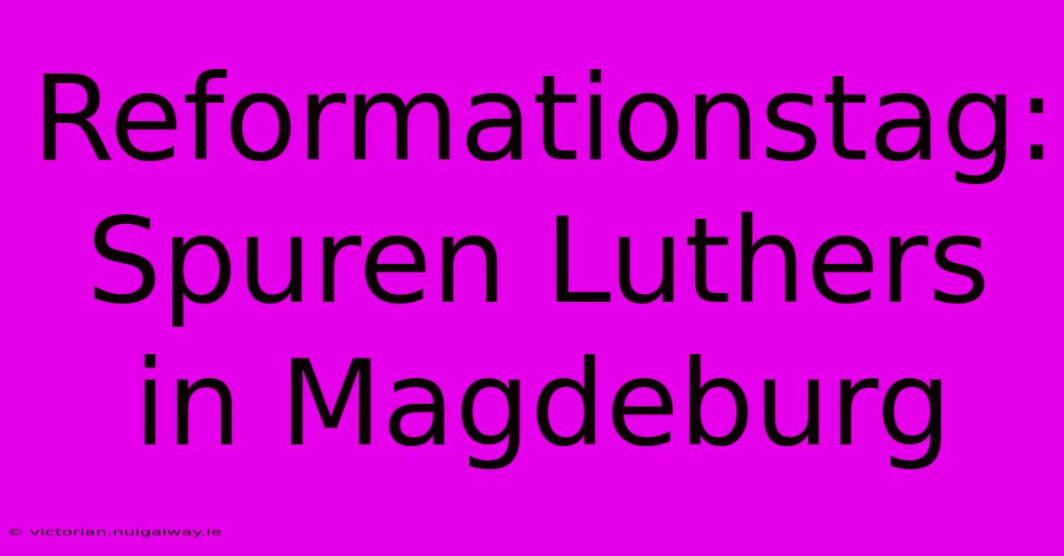 Reformationstag: Spuren Luthers In Magdeburg 