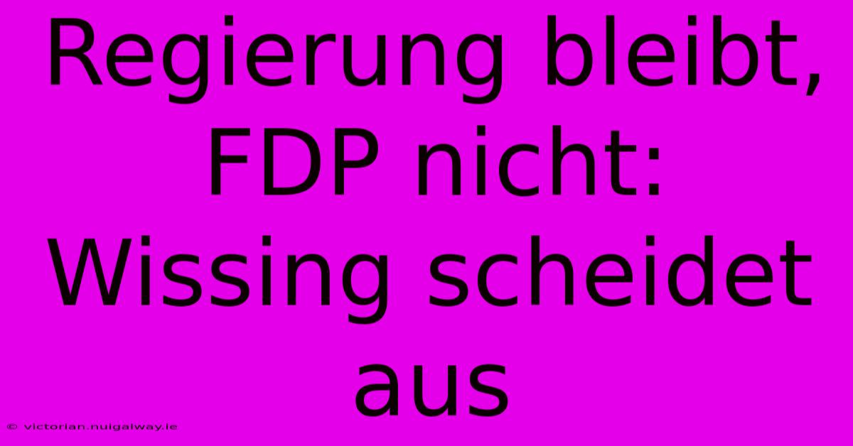 Regierung Bleibt, FDP Nicht: Wissing Scheidet Aus