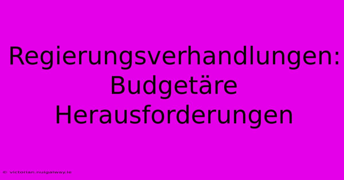 Regierungsverhandlungen: Budgetäre Herausforderungen