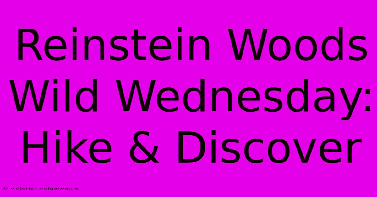 Reinstein Woods Wild Wednesday: Hike & Discover