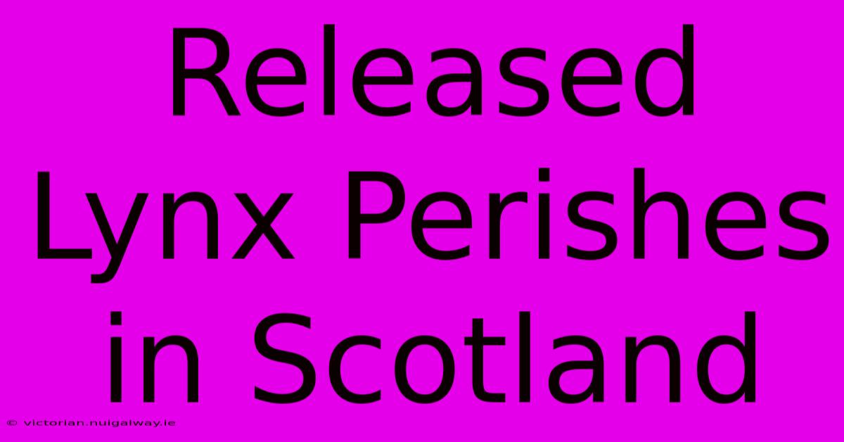 Released Lynx Perishes In Scotland