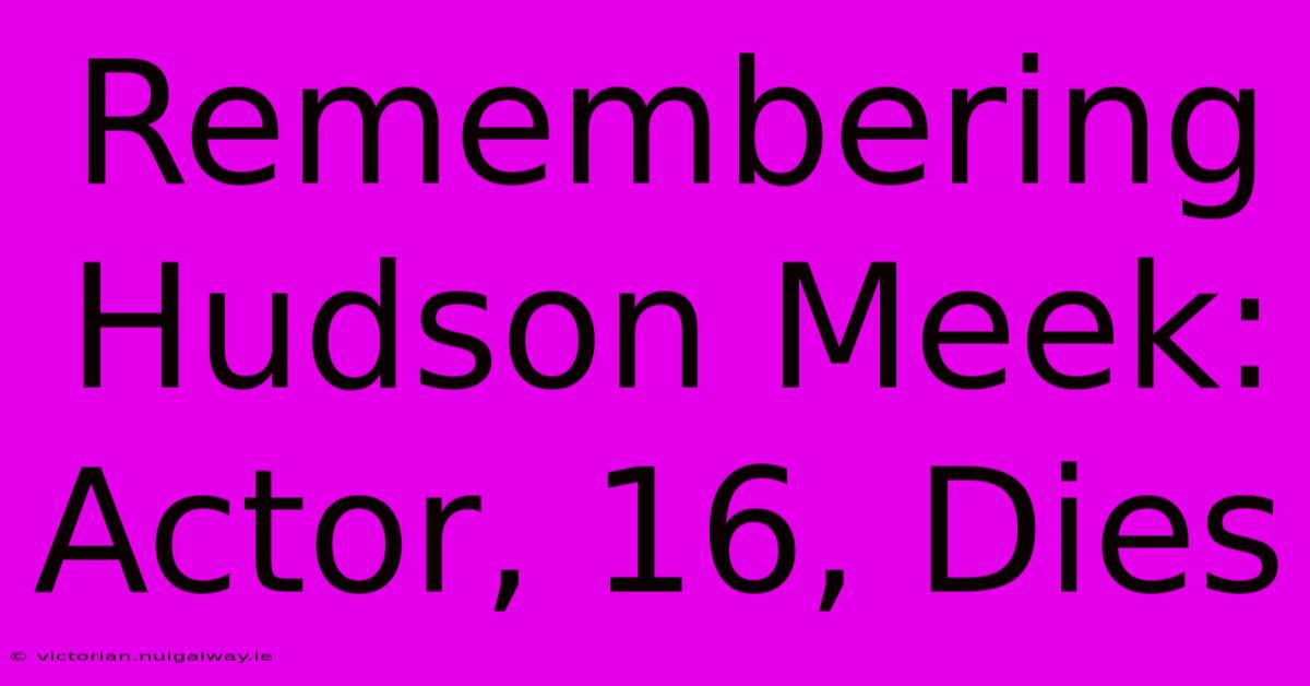 Remembering Hudson Meek: Actor, 16, Dies