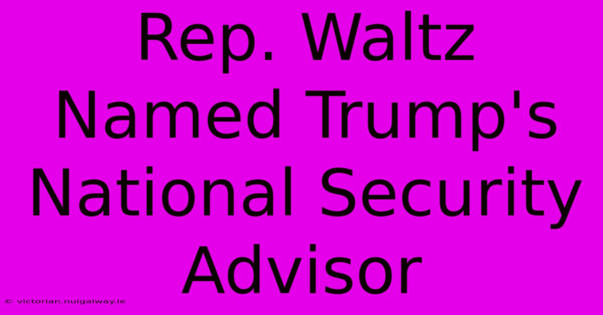 Rep. Waltz Named Trump's National Security Advisor