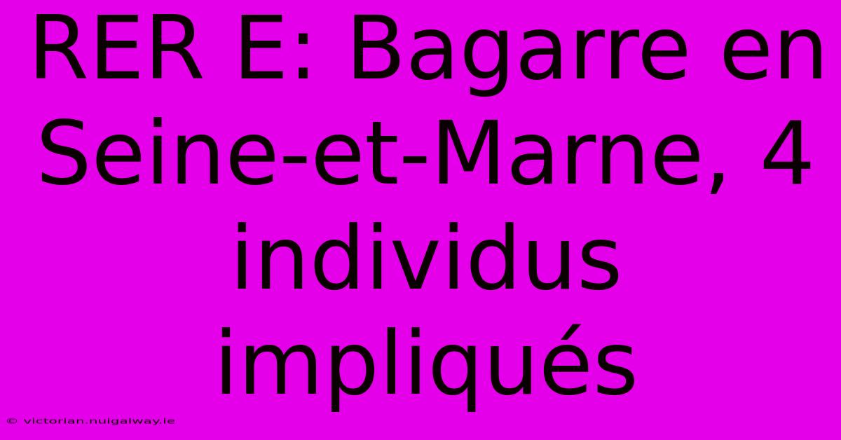 RER E: Bagarre En Seine-et-Marne, 4 Individus Impliqués