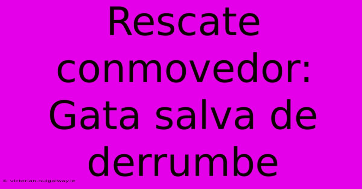 Rescate Conmovedor: Gata Salva De Derrumbe