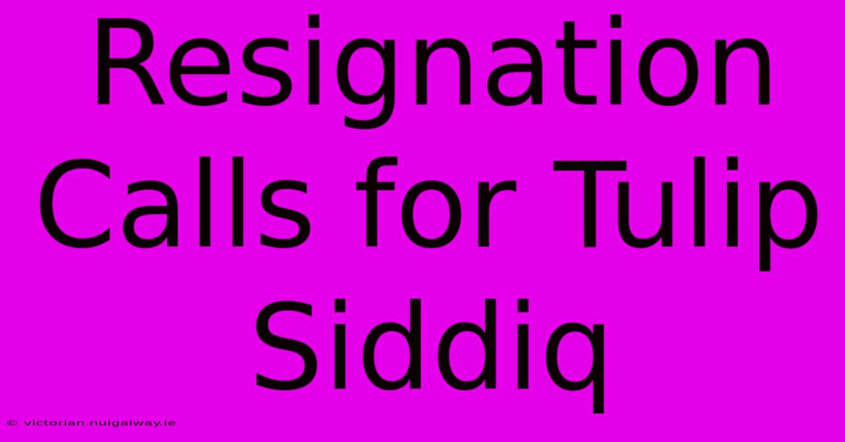 Resignation Calls For Tulip Siddiq  