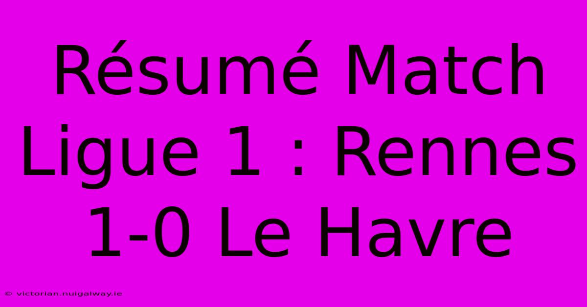 Résumé Match Ligue 1 : Rennes 1-0 Le Havre