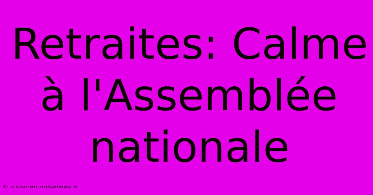 Retraites: Calme À L'Assemblée Nationale