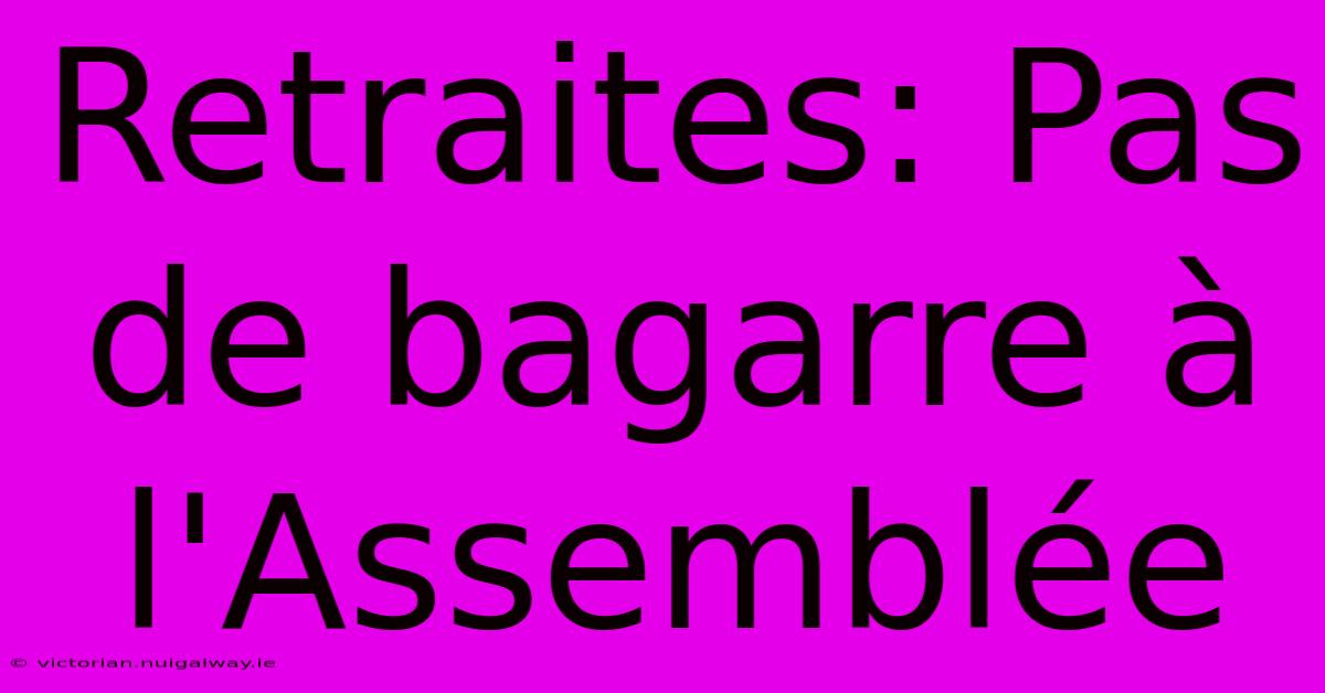 Retraites: Pas De Bagarre À L'Assemblée