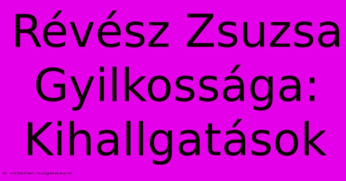 Révész Zsuzsa Gyilkossága: Kihallgatások