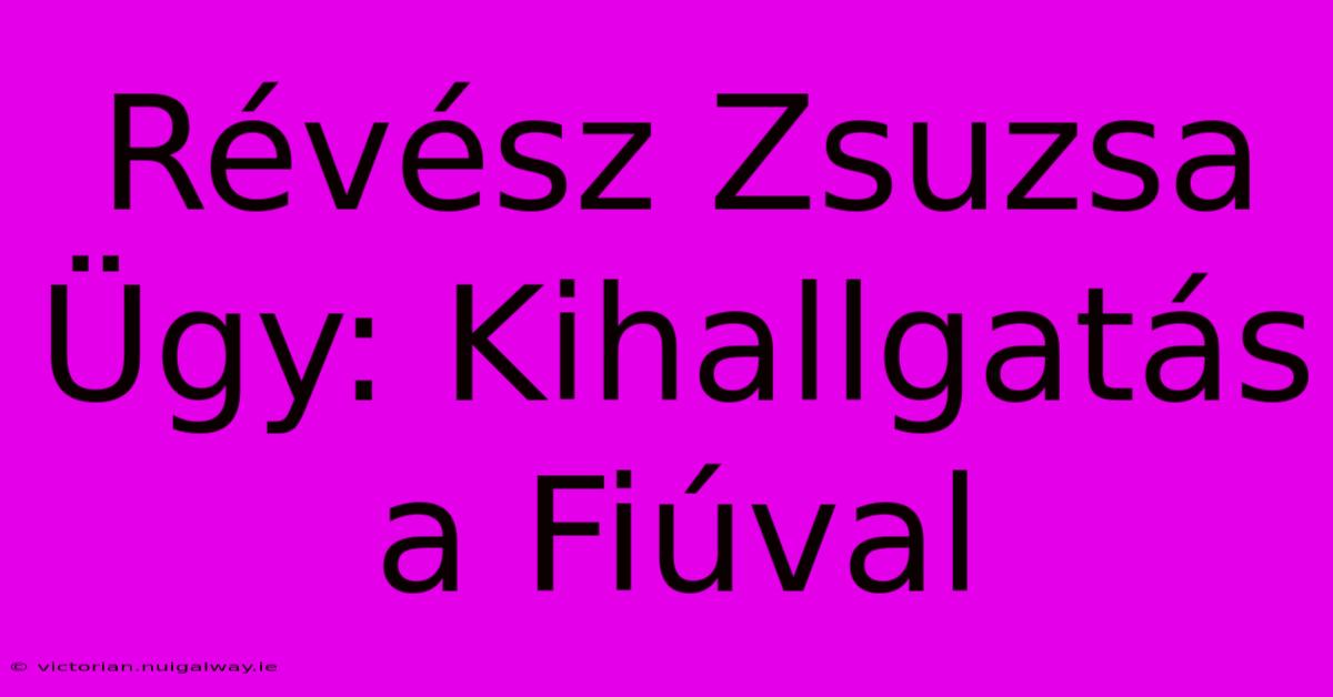 Révész Zsuzsa Ügy: Kihallgatás A Fiúval