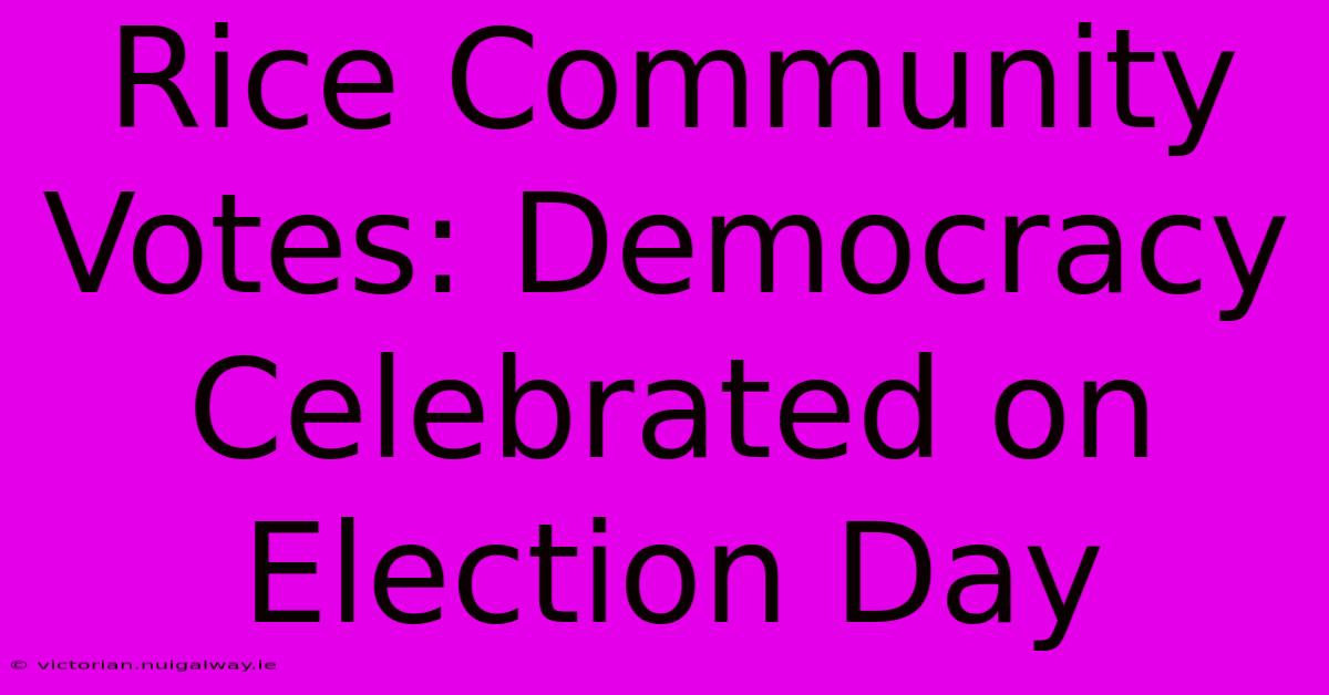 Rice Community Votes: Democracy Celebrated On Election Day