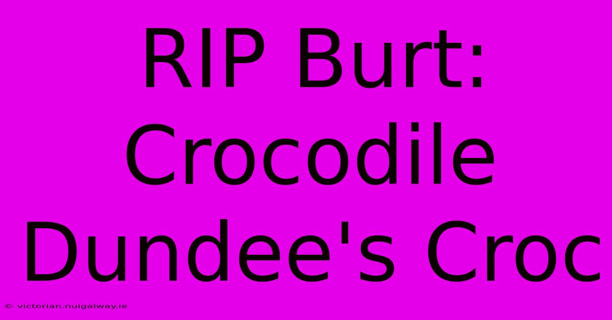 RIP Burt: Crocodile Dundee's Croc