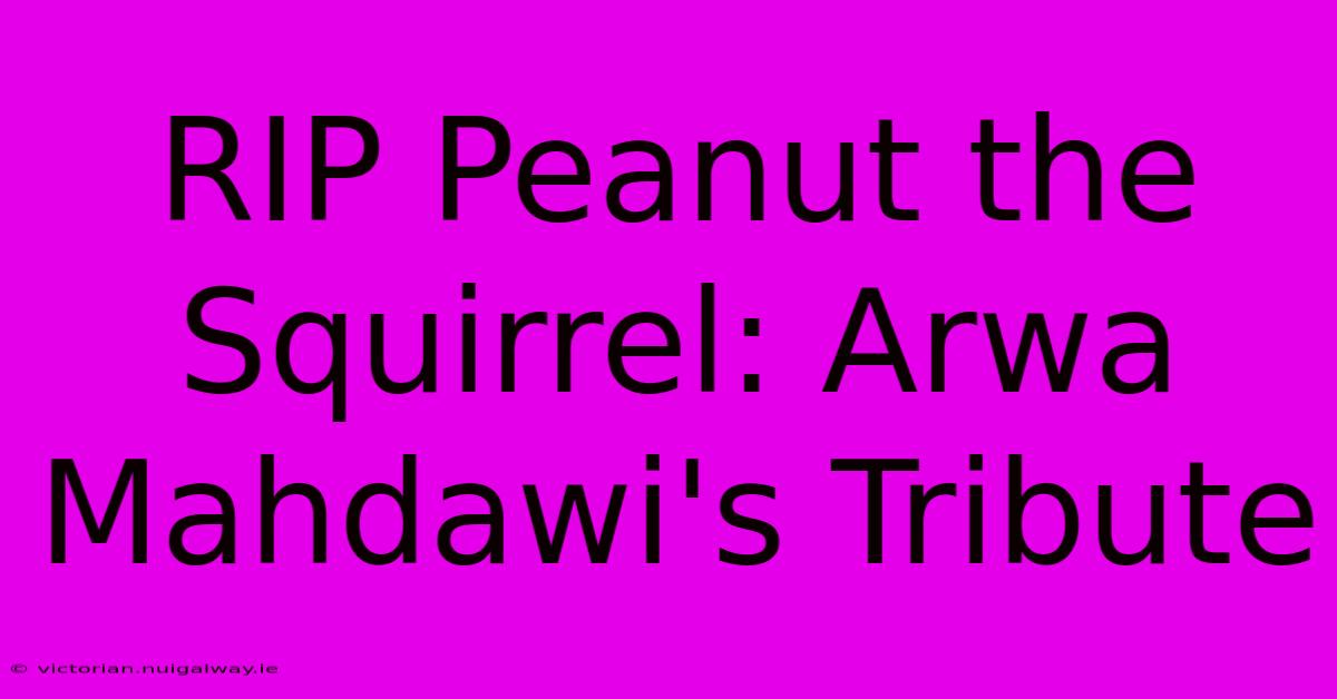 RIP Peanut The Squirrel: Arwa Mahdawi's Tribute