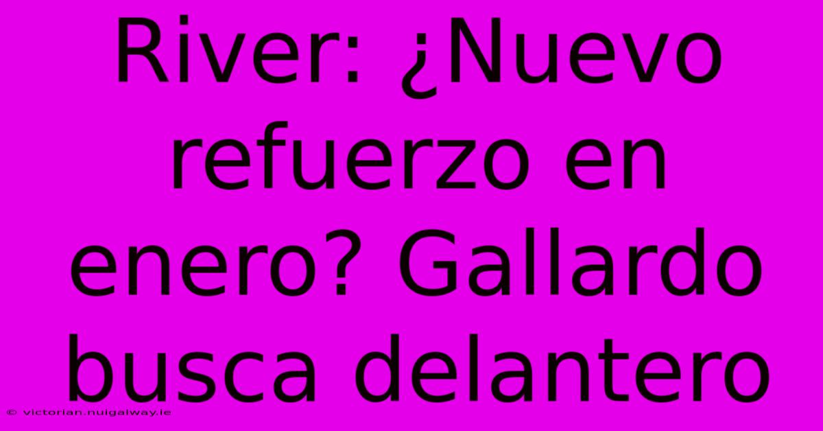 River: ¿Nuevo Refuerzo En Enero? Gallardo Busca Delantero