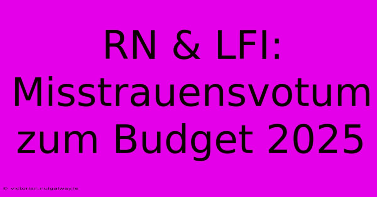 RN & LFI: Misstrauensvotum Zum Budget 2025