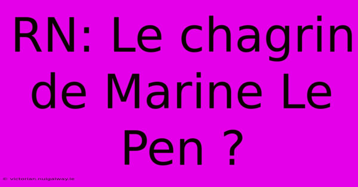 RN: Le Chagrin De Marine Le Pen ?