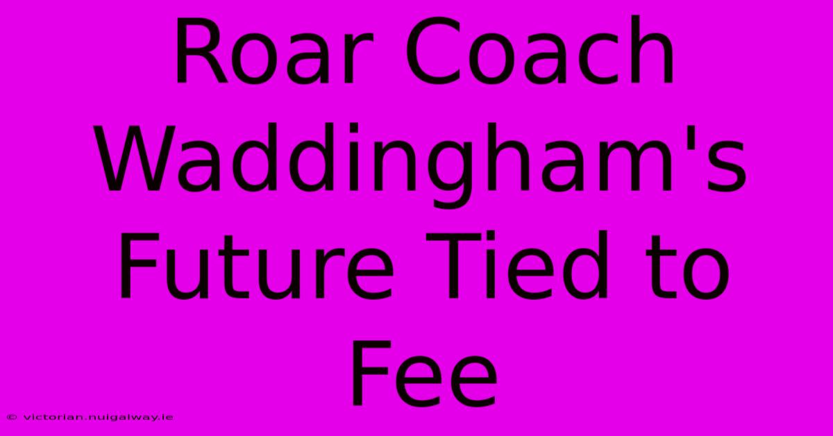 Roar Coach Waddingham's Future Tied To Fee