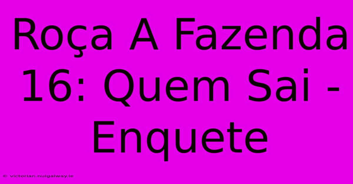 Roça A Fazenda 16: Quem Sai - Enquete 