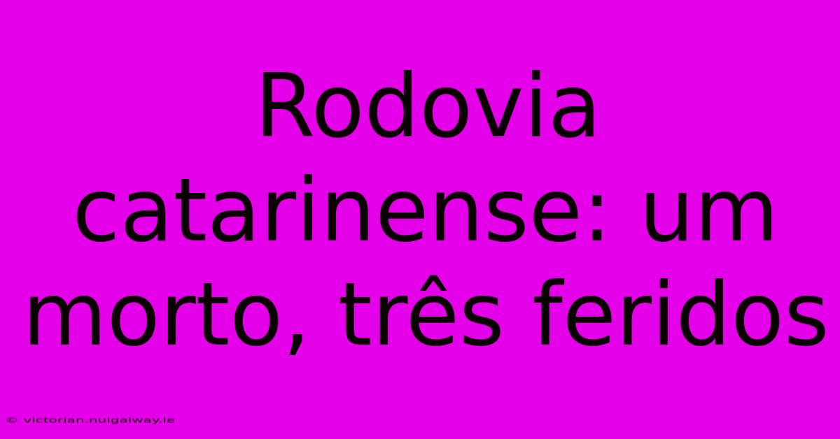 Rodovia Catarinense: Um Morto, Três Feridos