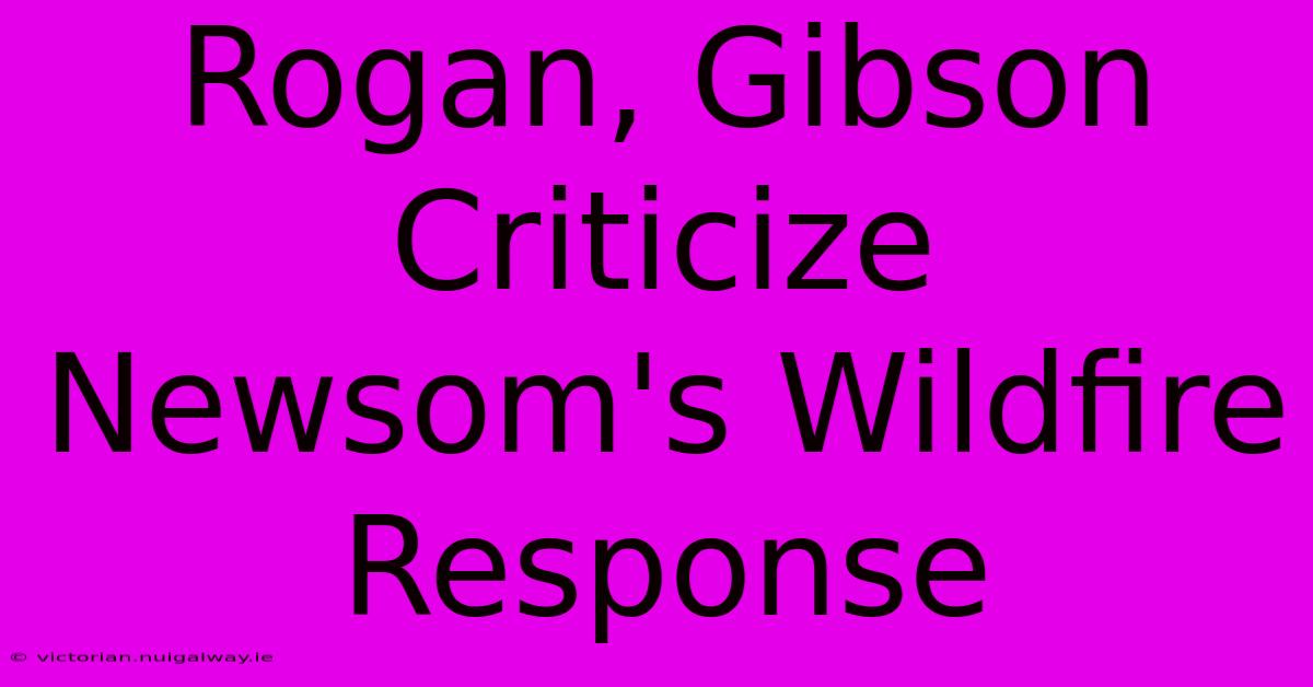 Rogan, Gibson Criticize Newsom's Wildfire Response