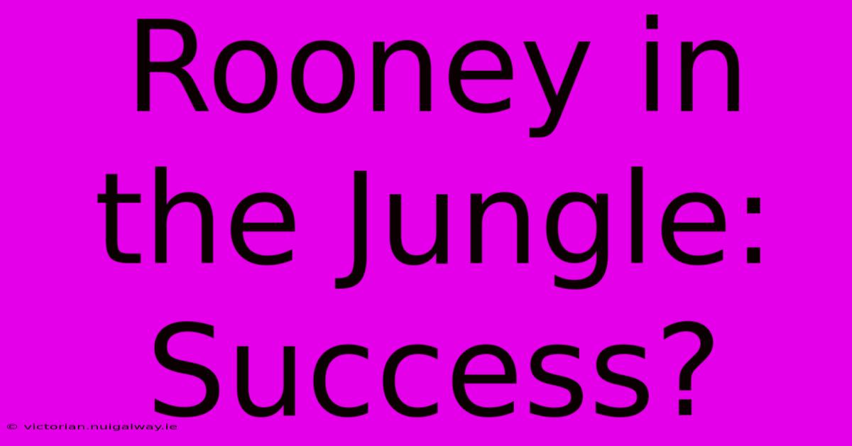 Rooney In The Jungle: Success?