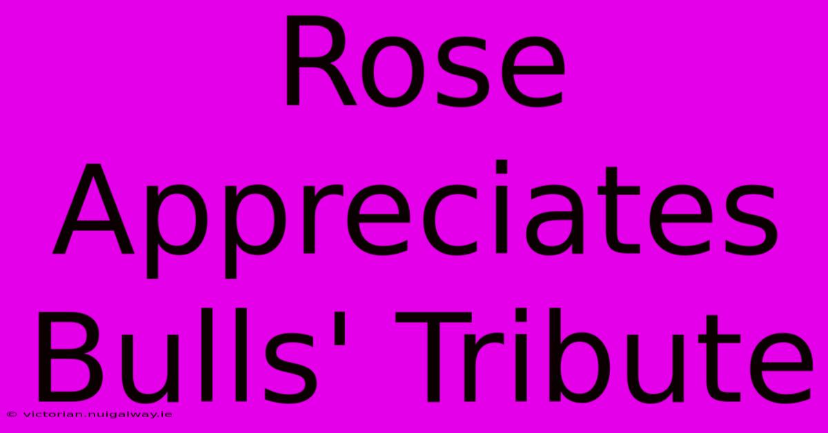 Rose Appreciates Bulls' Tribute