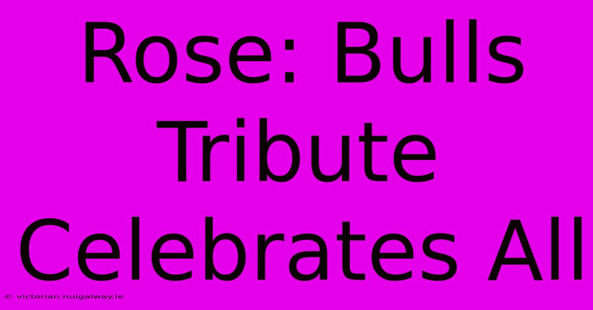 Rose: Bulls Tribute Celebrates All