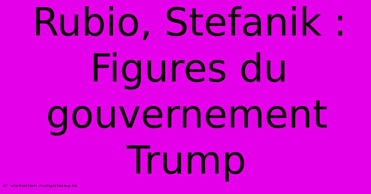 Rubio, Stefanik : Figures Du Gouvernement Trump 