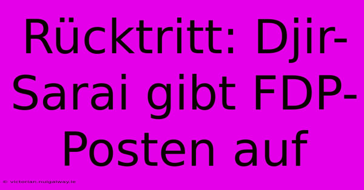 Rücktritt: Djir-Sarai Gibt FDP-Posten Auf