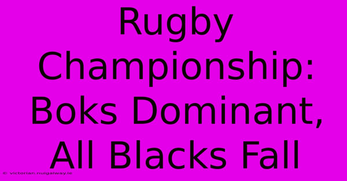 Rugby Championship: Boks Dominant, All Blacks Fall