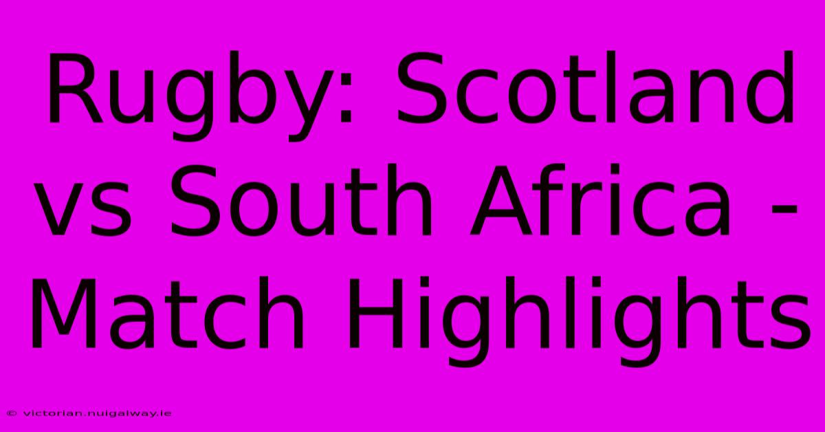 Rugby: Scotland Vs South Africa - Match Highlights