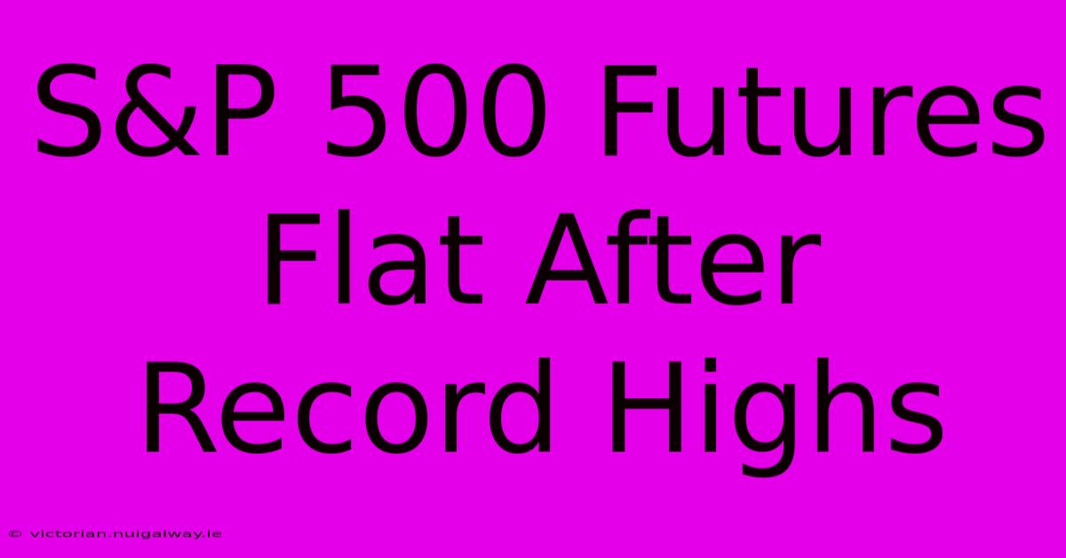 S&P 500 Futures Flat After Record Highs